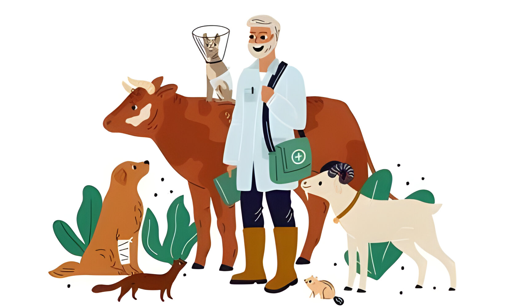 Veterinary